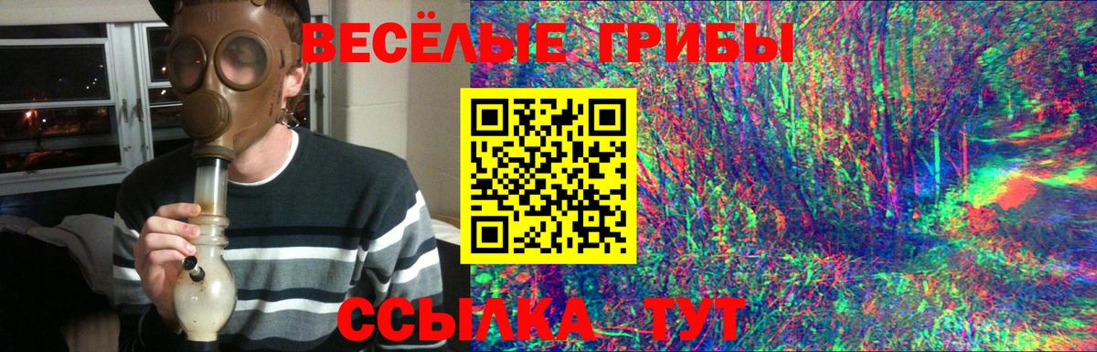 Галлюциногенные грибы Cubensis Сегежа