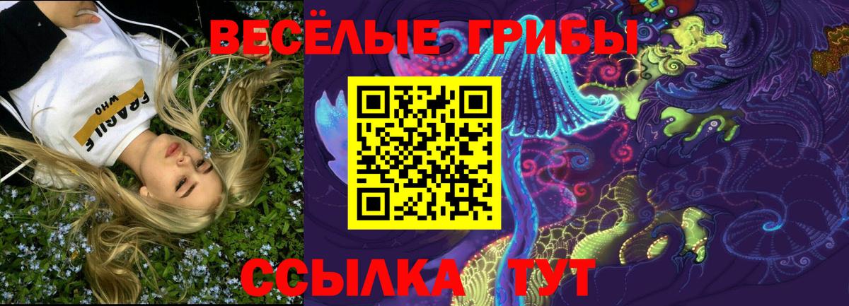 Галлюциногенные грибы Magic Shrooms  купить  цена  Сегежа  Вход с VPN 